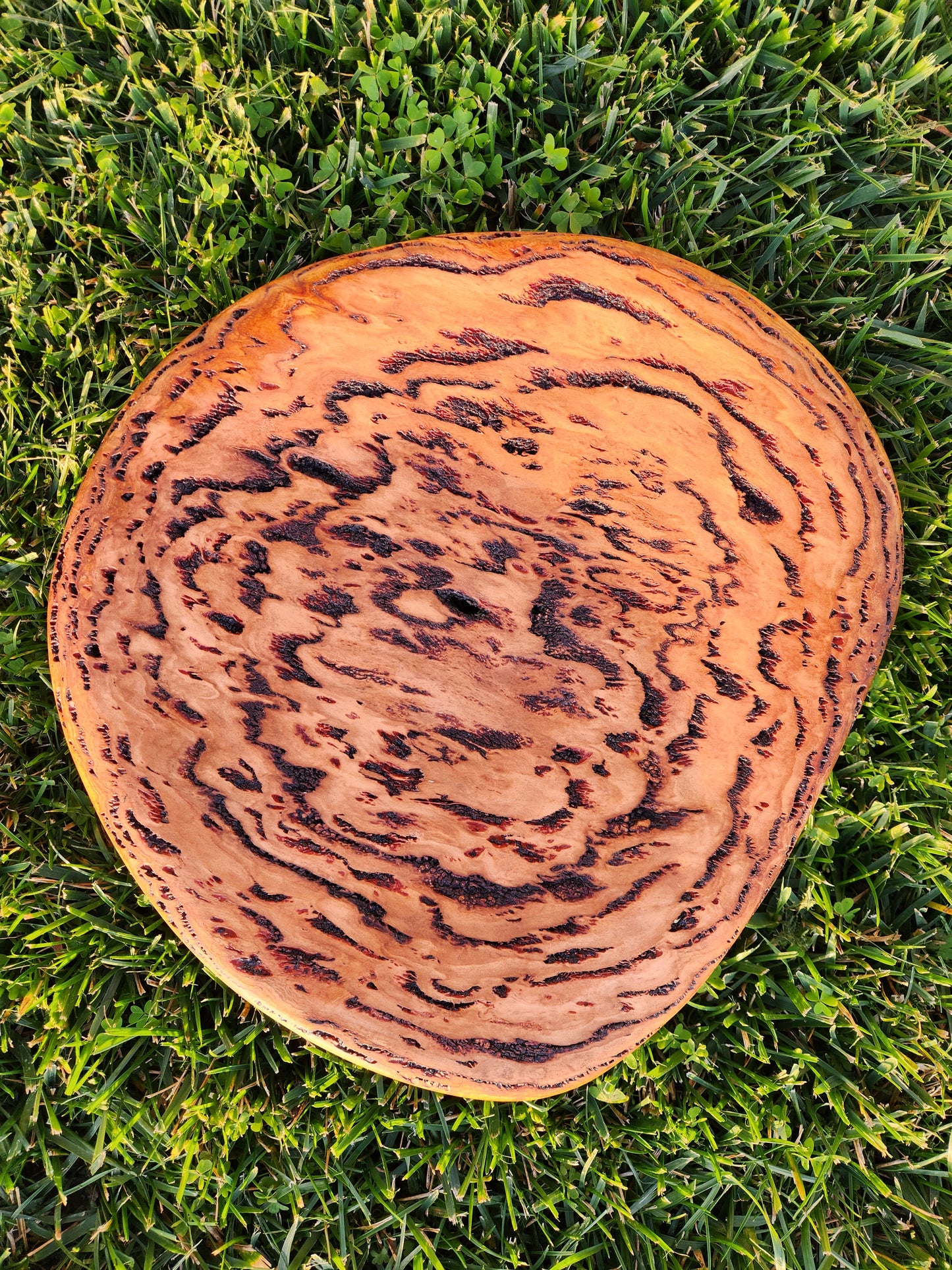 Burl Bowl Tasmania Oak