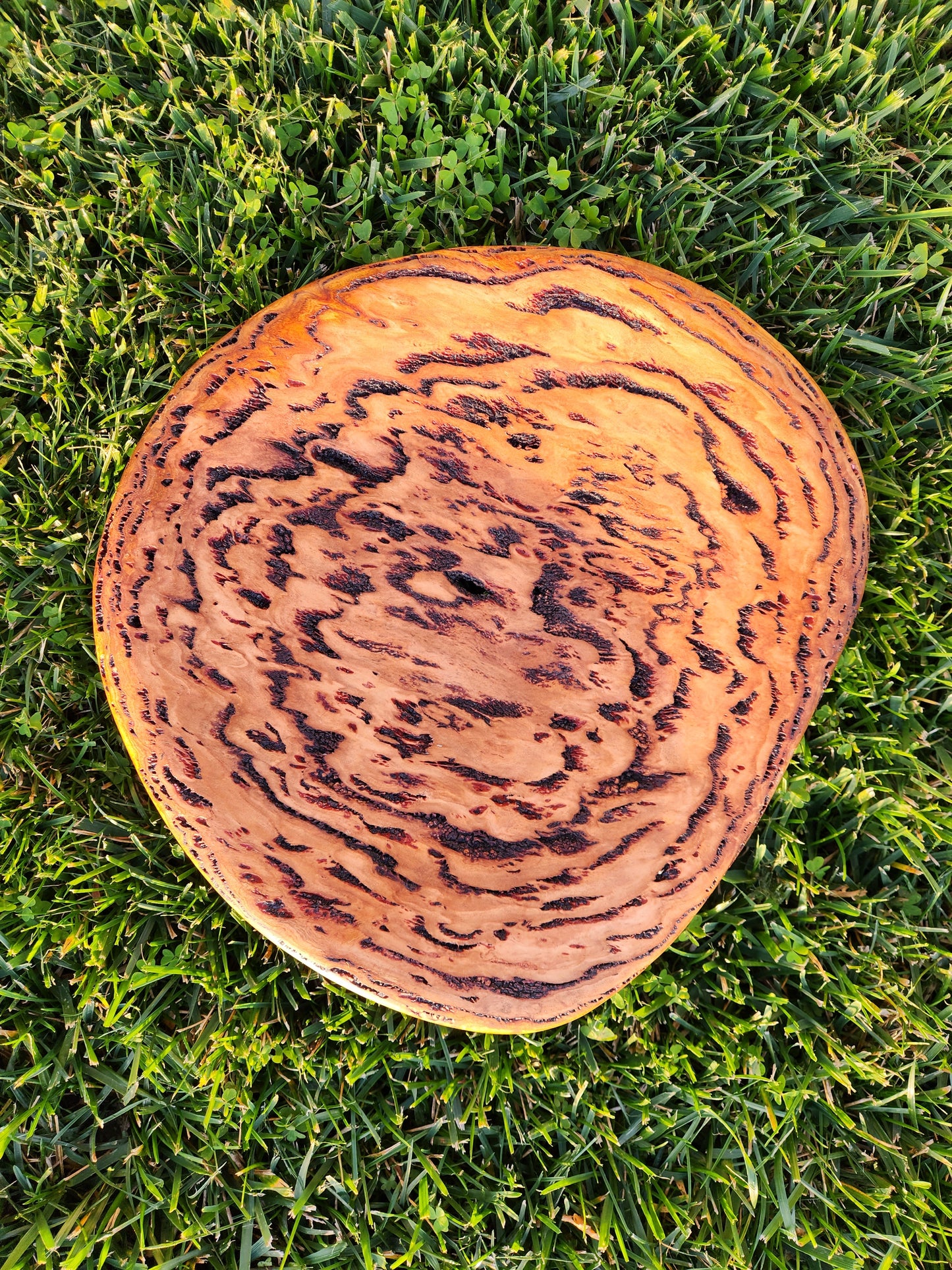 Burl Bowl Tasmania Oak