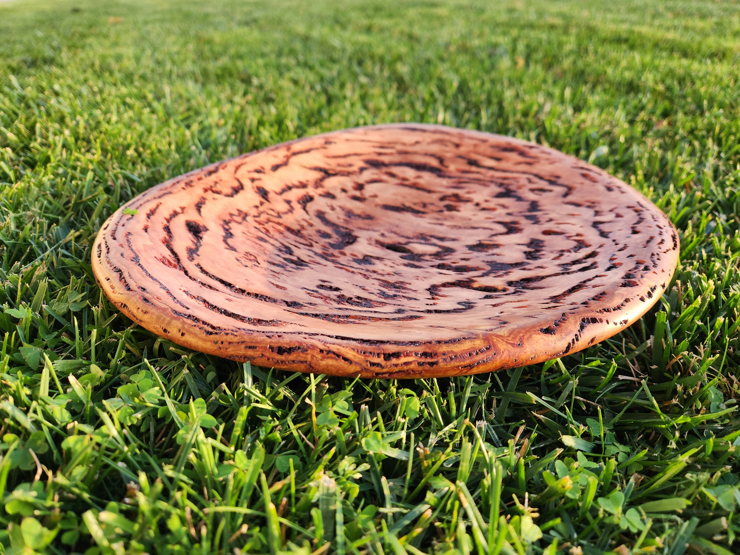 Burl Bowl Tasmania Oak