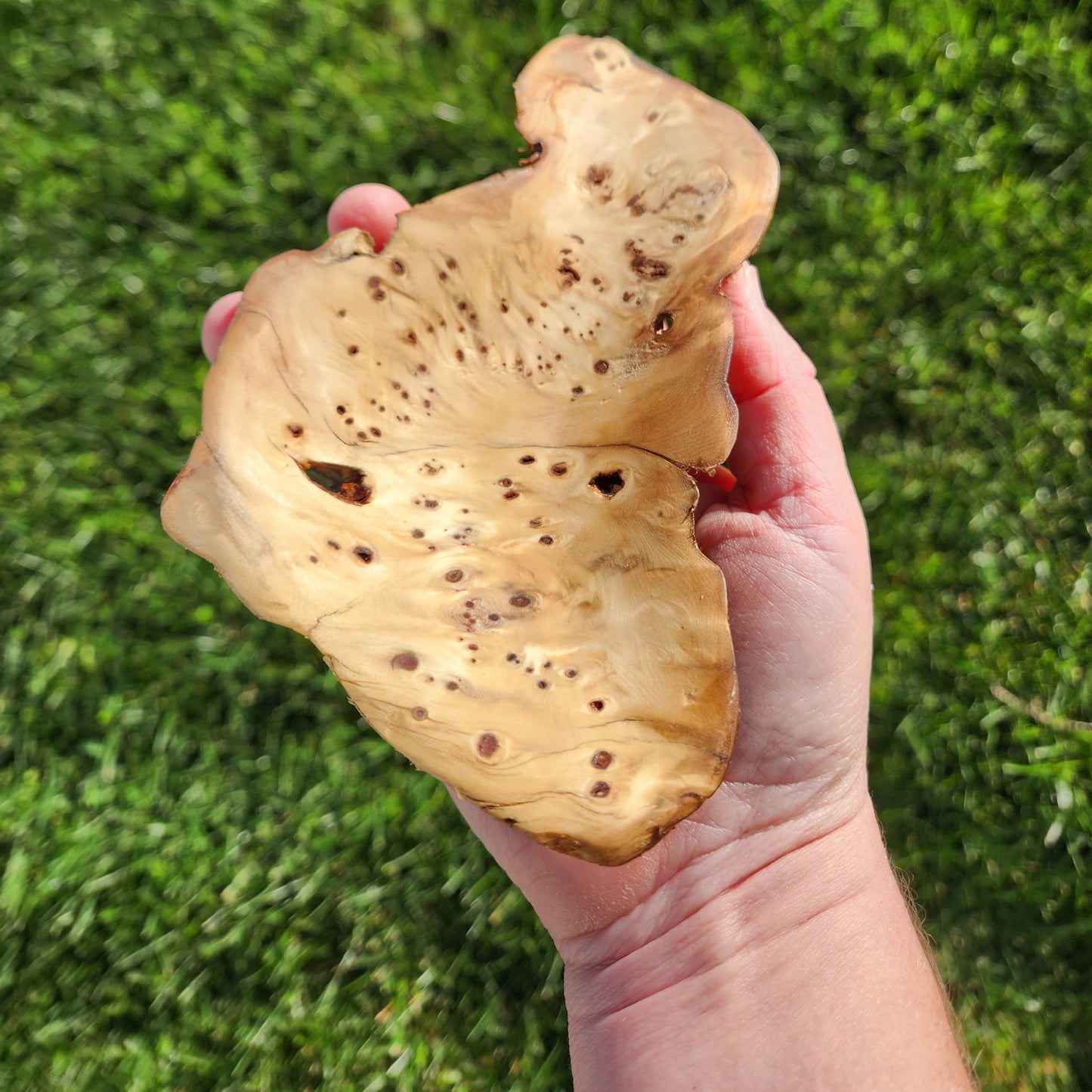 Burl Bowl Birdseye Huon (small)