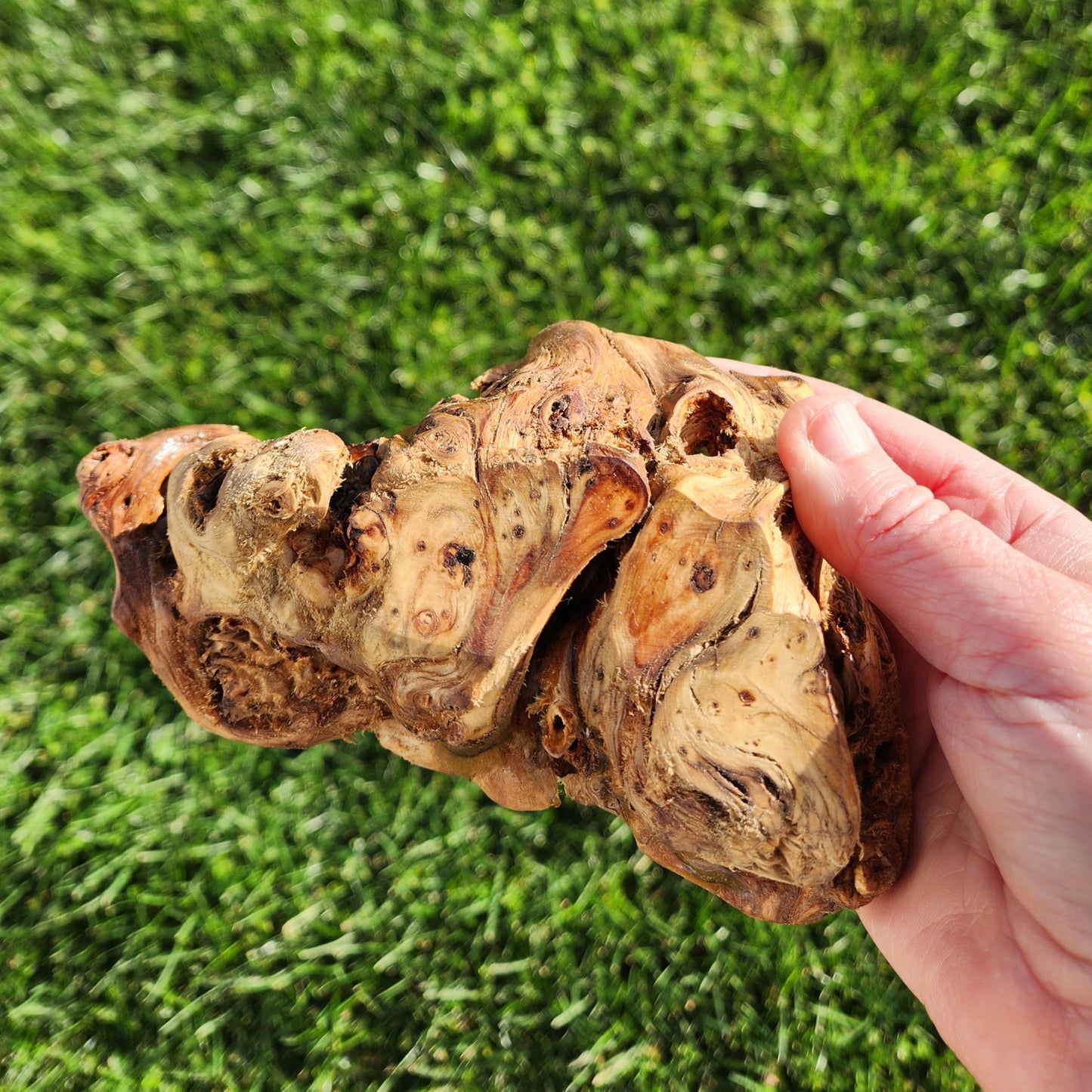 Burl Bowl Birdseye Huon (small)
