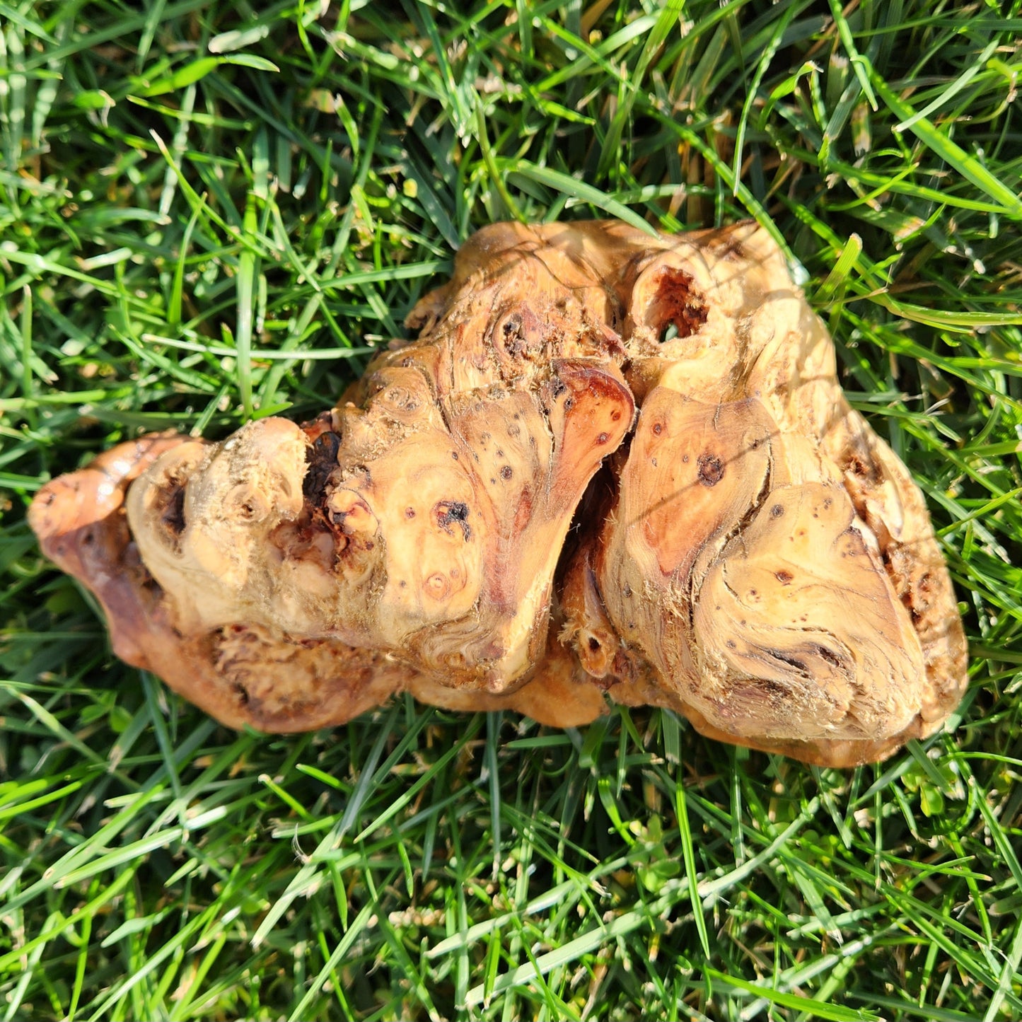 Burl Bowl Birdseye Huon (small)