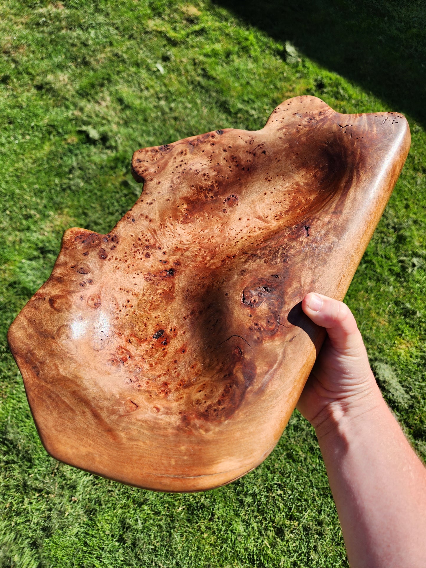 Burl Bowl Tasmanian Myrtle