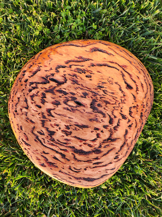 Burl Bowl Tasmania Oak