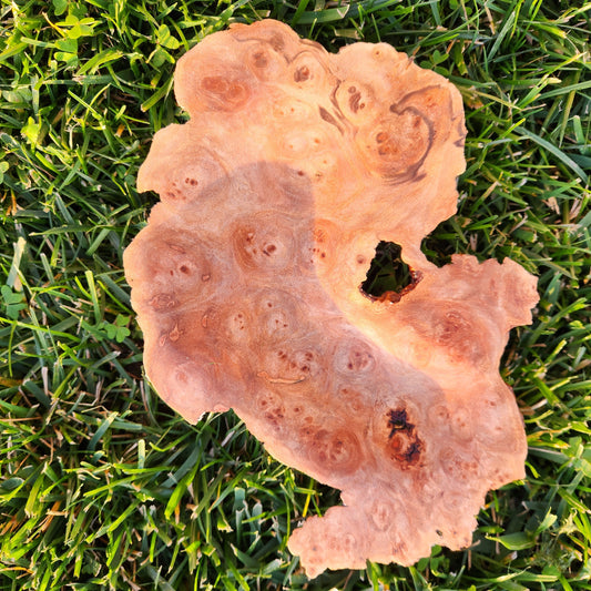 Burl Bowl Tasmanian Birds Eye Myrtle