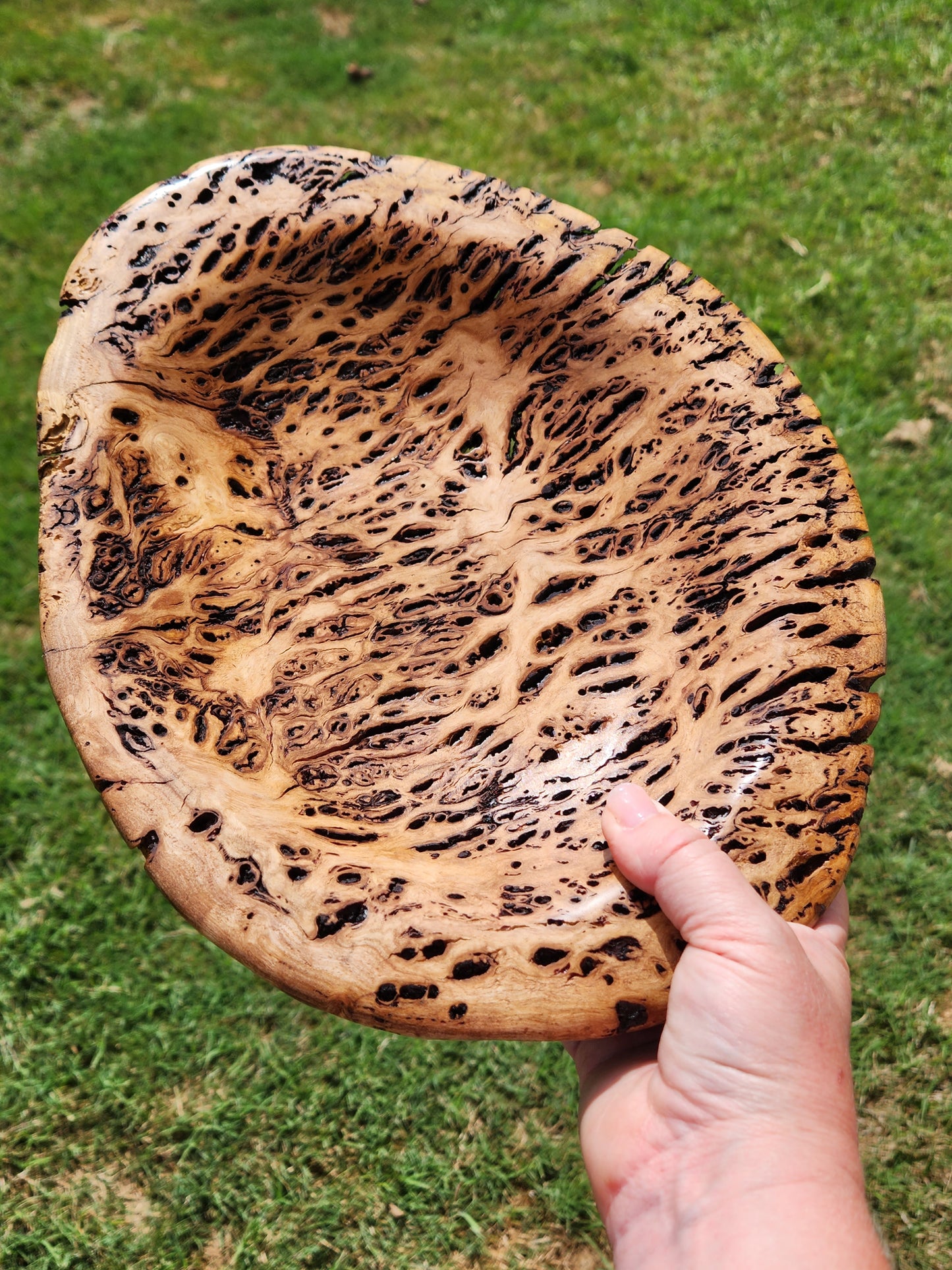Burl Bowl Tasmanian Oak